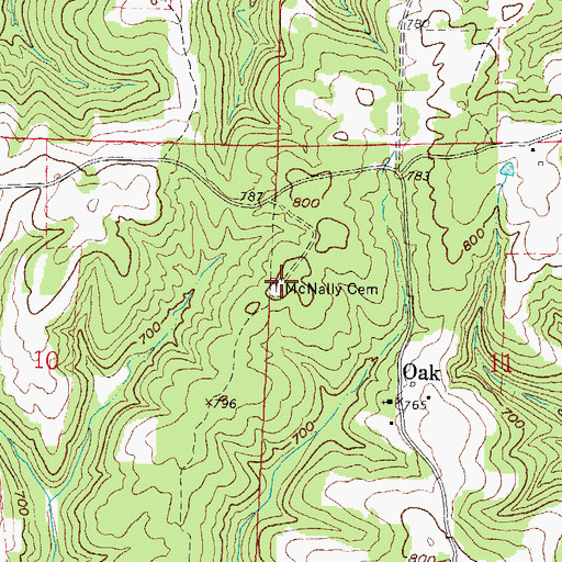 Topographic Map of McNally Cemetery, IL