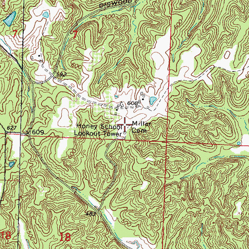 Topographic Map of Miller Cemetery, IL