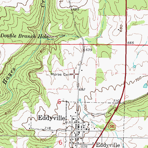 Topographic Map of Morse Cemetery, IL