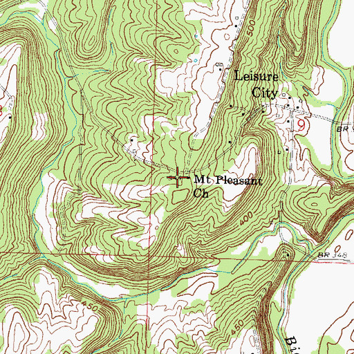 Topographic Map of Mount Pleasant Church, IL
