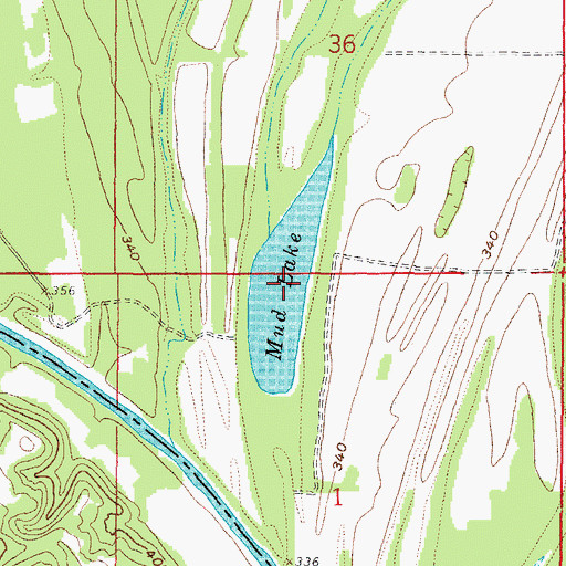 Topographic Map of Mud Lake, IL