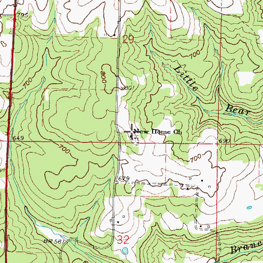 Topographic Map of New Home Church, IL