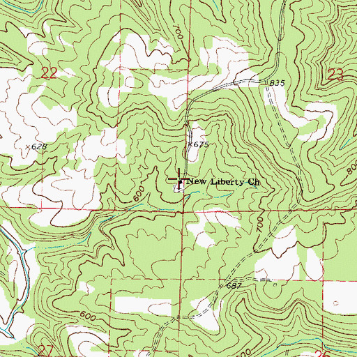 Topographic Map of New Liberty Church, IL