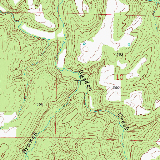 Topographic Map of Ogden Branch, IL
