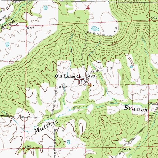 Topographic Map of Old Home Church, IL