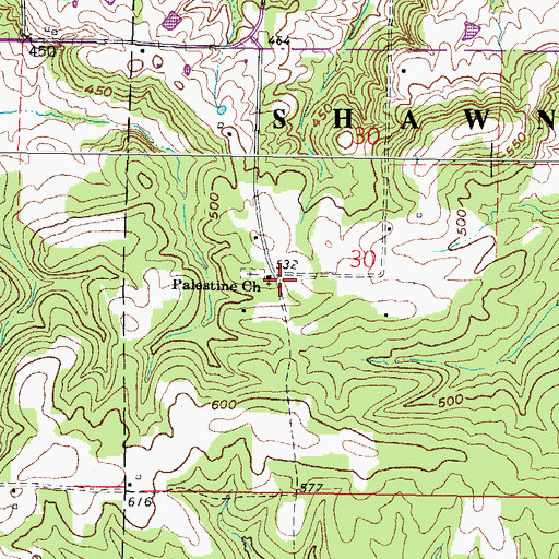 Topographic Map of Palestine Church, IL