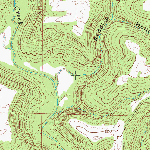 Topographic Map of Reddick Hollow, IL