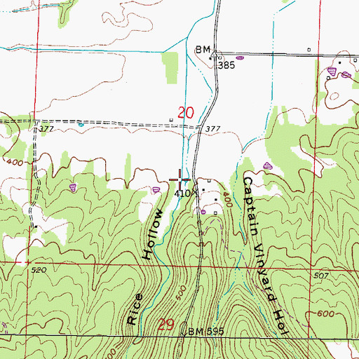 Topographic Map of Rice Hollow, IL