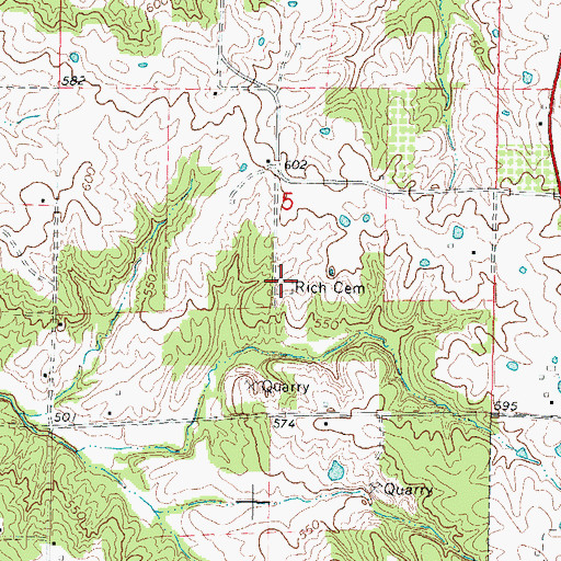 Topographic Map of Rich Cemetery, IL