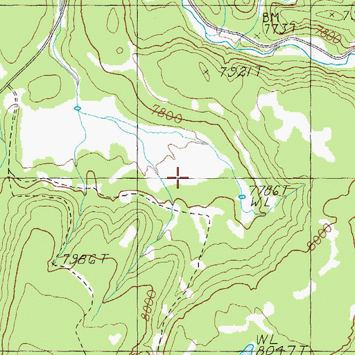 Topographic Map of Taylor Tank and Spring, AZ