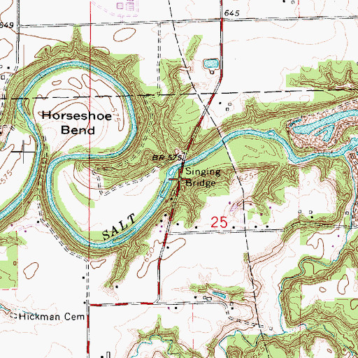 Topographic Map of Singing Bridge, IL