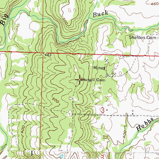 Topographic Map of Sturgill Cemetery, IL