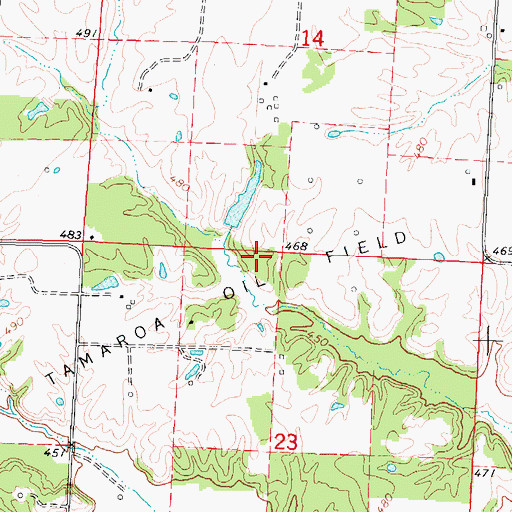 Topographic Map of Tamaroa Oil Field, IL