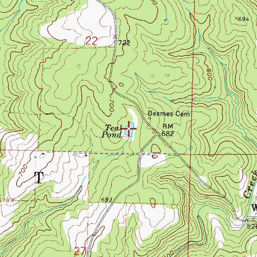 Topographic Map of Teal Pond, IL