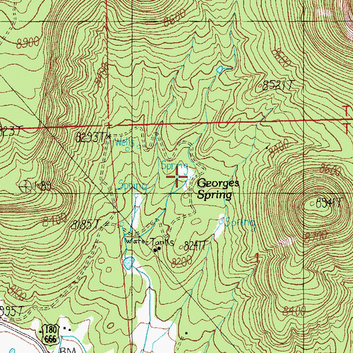 Topographic Map of Georges Spring, AZ