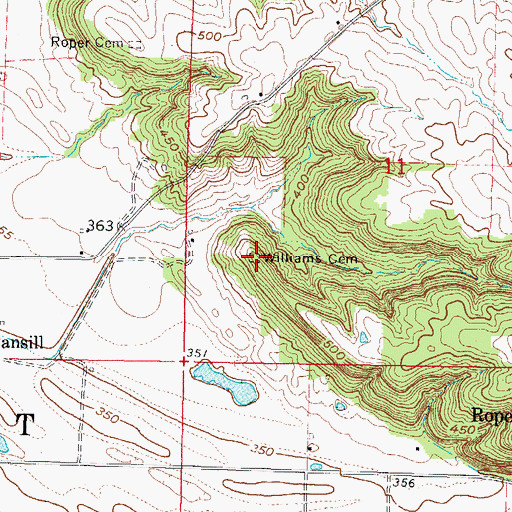 Topographic Map of Williams Cemetery, IL