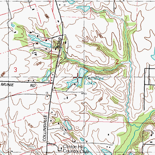 Topographic Map of Randles Lake, IL