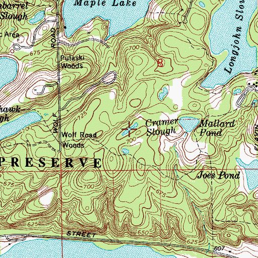 Topographic Map of Cramer Slough, IL