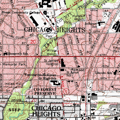 Topographic Map of Saint James Hospital and Health Center, IL