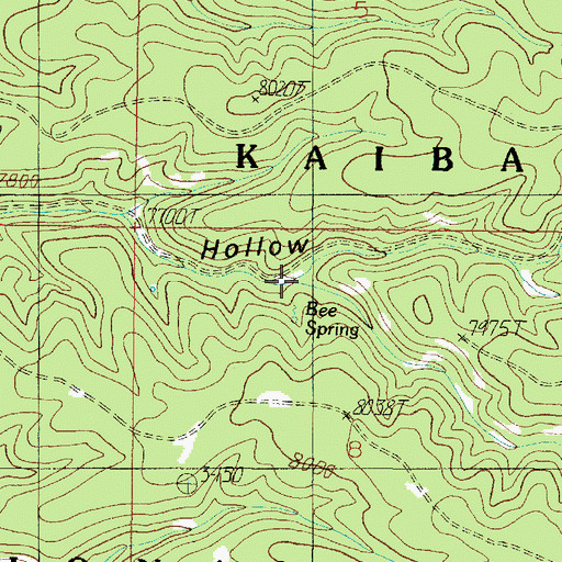Topographic Map of East Branch Indian Hollow, AZ