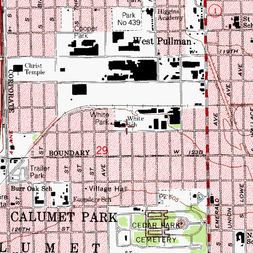 Topographic Map of White School, IL