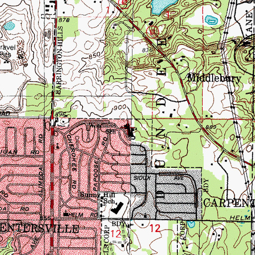 Topographic Map of Woodland Elementary School, IL