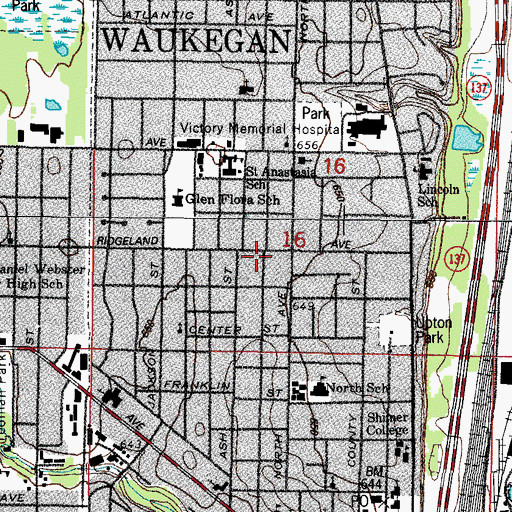 Topographic Map of WKRS Radio Tower, IL