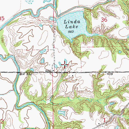 Topographic Map of Brooks Ranch Airport, IL