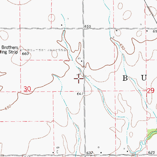 Topographic Map of Runyan Aviation, IL