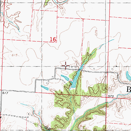 Topographic Map of Nelson Airport, IL