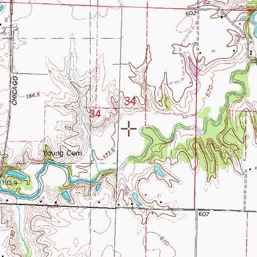 Topographic Map of Shag Bark Farms Heliport, IL