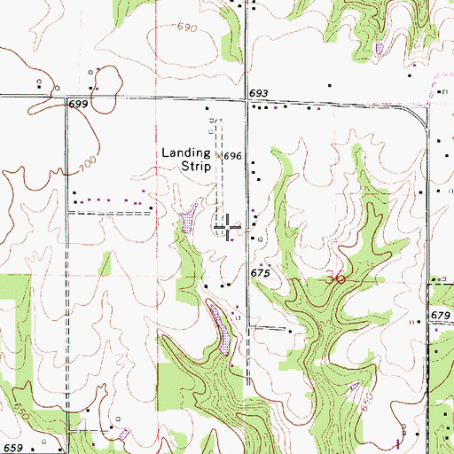 Topographic Map of Flying B Ranch Airport, IL