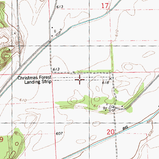 Topographic Map of Christmas Forest Airport (historical), IL