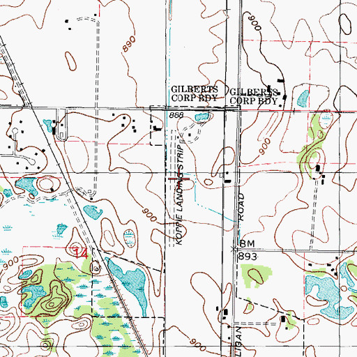 Topographic Map of Koppie Airport, IL