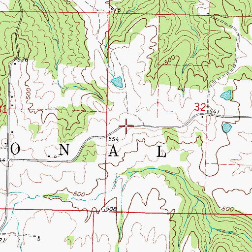 Topographic Map of Dixon Springs RLA Airport (historical), IL