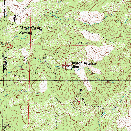 Topographic Map of Boston Arizona Mine, AZ