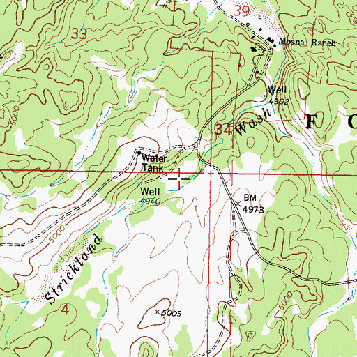 Topographic Map of Strickland Spring, AZ
