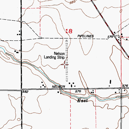 Topographic Map of Nelson Airport (historical), IL