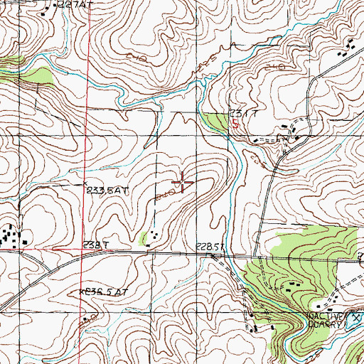 Topographic Map of Williard Nycum RLA Airport (historical), IL