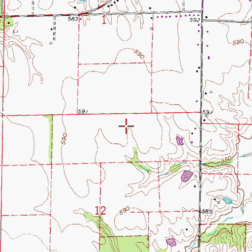 Topographic Map of Holmes Southeast Airport, IL
