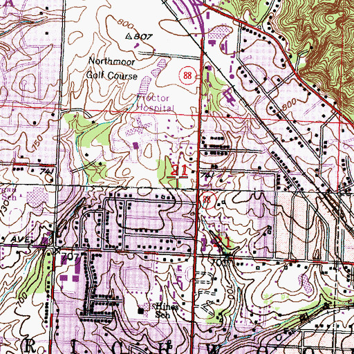 Topographic Map of Proctor Community Hospital Heliport, IL