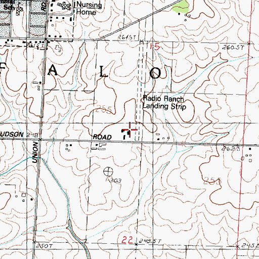 Topographic Map of Hammer Airport, IL