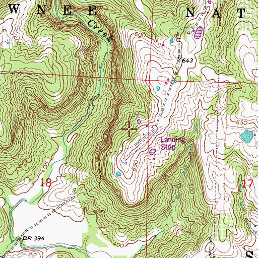 Topographic Map of Covey Airport (historical), IL