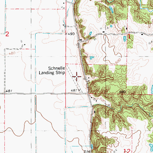 Topographic Map of Schnelle Airport (historical), IL
