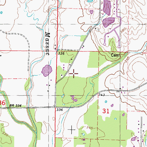Topographic Map of WREZ-FM (Metropolis), IL
