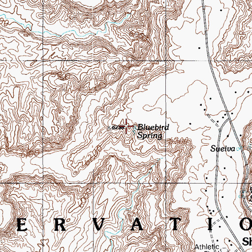 Topographic Map of Bluebird Spring, AZ
