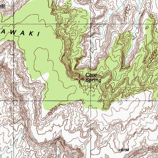 Topographic Map of Cave Spring, AZ