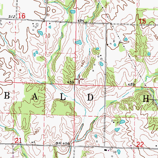 Topographic Map of Township of Bald Hill, IL