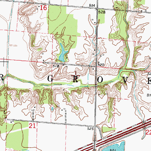 Topographic Map of Township of Bear Grove, IL