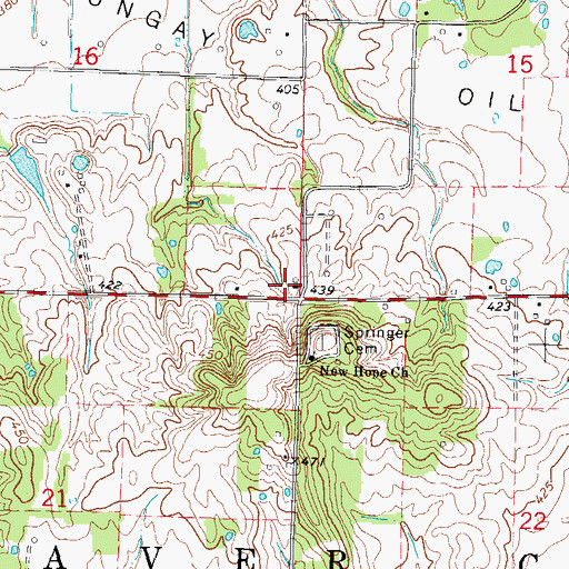 Topographic Map of Township of Beaver Creek, IL